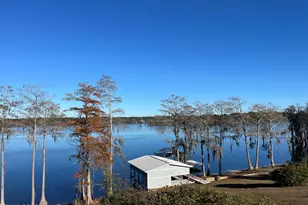 2540 Montyna Ln, Alford, FL 32420 - Photo 3