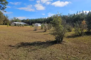 5459 Hwy 2, Bascom, FL 32423 - Photo 41