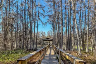 5091 Lake Bluff Cir, Marianna, FL 32446 - Photo 63