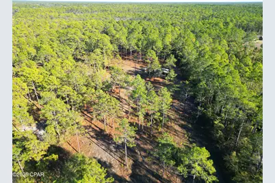 13563 SW Forest Road 141, Bristol, FL 32321 - Photo 5