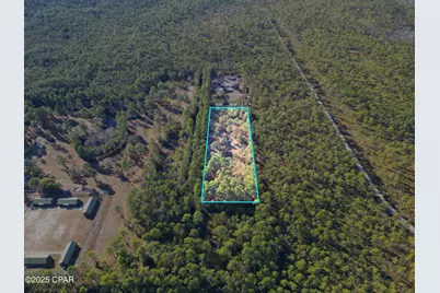 13563 SW Forest Road 141, Bristol, FL 32321 - Photo 7