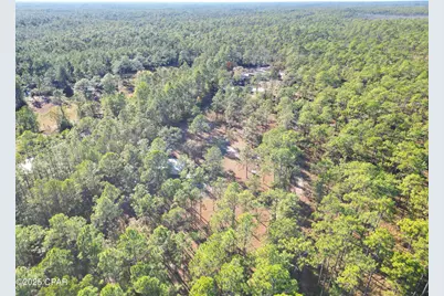 13563 SW Forest Road 141, Bristol, FL 32321 - Photo 9