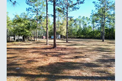 13563 SW Forest Road 141, Bristol, FL 32321 - Photo 11