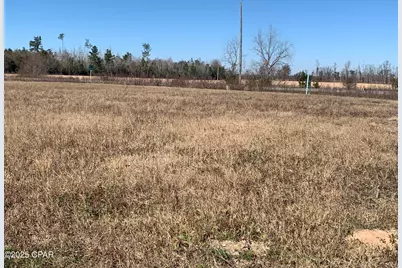 0000 Sr 73 Highway, Clarksville, FL 32430 - Photo 5