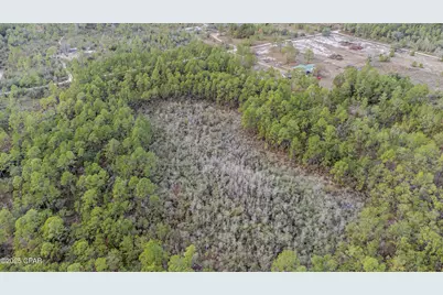 3-1N-11W Baker Road, Altha, FL 32421 - Photo 15