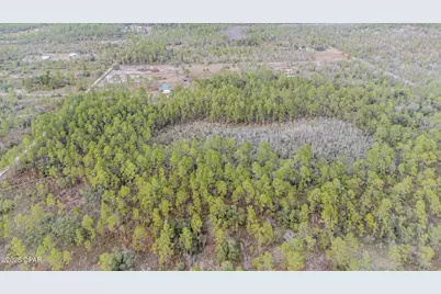 3-1N-11W Baker Road, Altha, FL 32421 - Photo 11