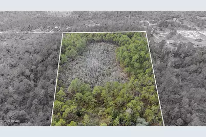 3-1N-11W Baker Road, Altha, FL 32421 - Photo 3