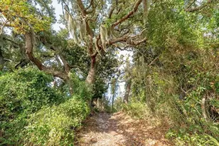 3555 Sanctuary Dr, Panama City, FL 32408 - Photo 7