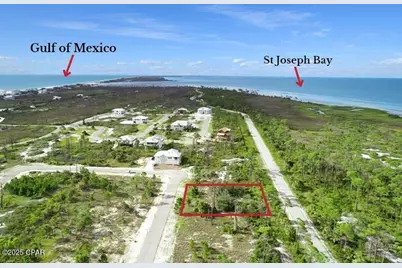 135 Hemmingway Circle, Port Saint Joe, FL 32456 - Photo 1