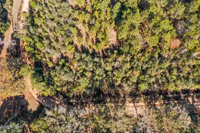 2539 Davids Road, Vernon, FL 32462 - Photo 27