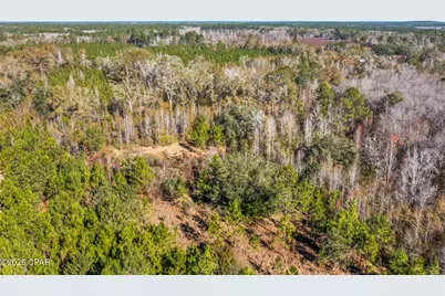 2539 Davids Road, Vernon, FL 32462 - Photo 25