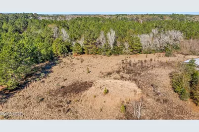 2539 Davids Road, Vernon, FL 32462 - Photo 9