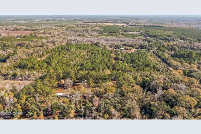 2539 Davids Road, Vernon, FL 32462 - Photo 21