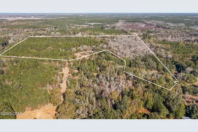 2539 Davids Road, Vernon, FL 32462 - Photo 13