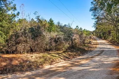 2539 Davids Road, Vernon, FL 32462 - Photo 3