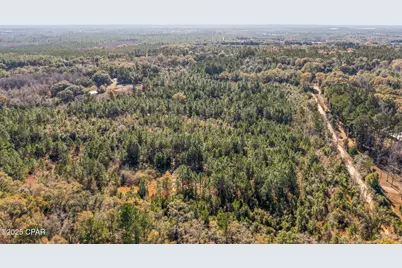 2539 Davids Road, Vernon, FL 32462 - Photo 19