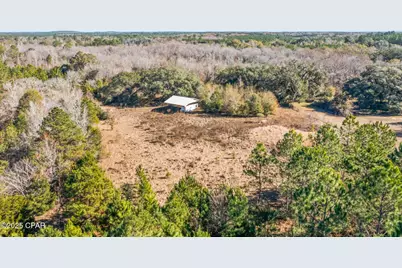 2539 Davids Road, Vernon, FL 32462 - Photo 5