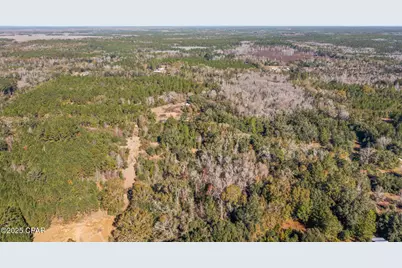 2539 Davids Road, Vernon, FL 32462 - Photo 17