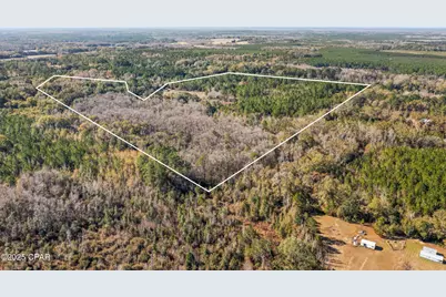 2539 Davids Road, Vernon, FL 32462 - Photo 11