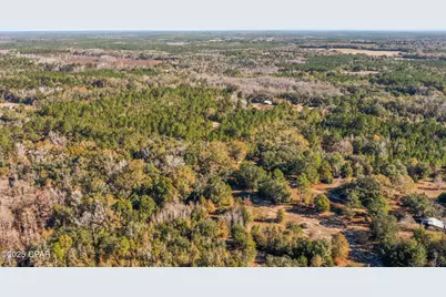 2539 Davids Road, Vernon, FL 32462 - Photo 15