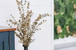 146 Seagrass Wy, Panama City Beach, FL 32407 - Photo 9