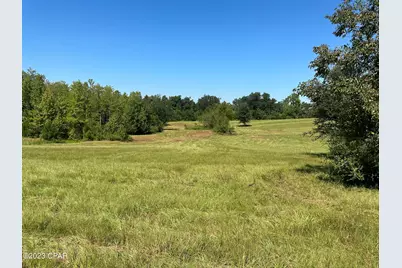 3622 Cypress Tree Lane, Marianna, FL 32448 - Photo 33