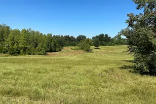 3622 Cypress Tree Ln, Marianna, FL 32448 - Photo 33