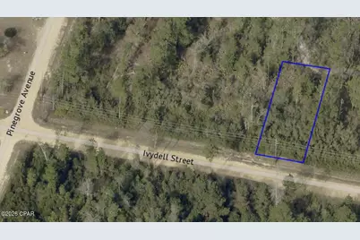 11721 Ivydell Street, Fountain, FL 32438 - Photo 1
