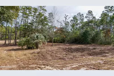 14209 Big Island Pond Road, Southport, FL 32409 - Photo 7