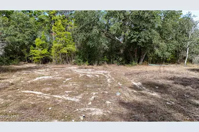 14209 Big Island Pond Road, Southport, FL 32409 - Photo 11