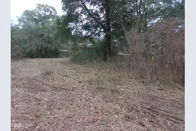 1724 Highway 173, Bonifay, FL 32425 - Photo 3