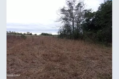 1724 Highway 173, Bonifay, FL 32425 - Photo 13