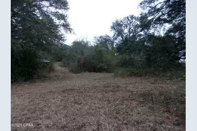 1724 Highway 173, Bonifay, FL 32425 - Photo 5