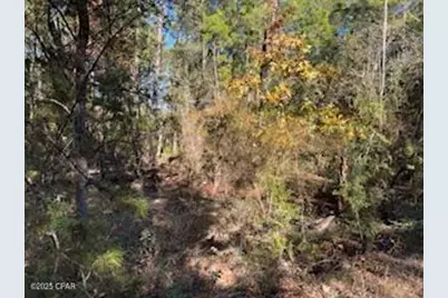 13814 Highway 77, Southport, FL 32409 - Photo 7