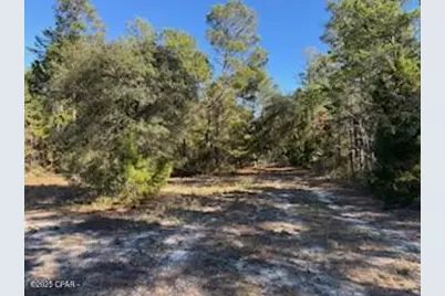 13814 Highway 77, Southport, FL 32409 - Photo 9