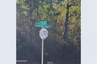 11963 NW Lake Mystic Duggar Road, Bristol, FL 32321 - Photo 19