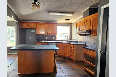 23787 County Road 69A, Altha, FL 32421 - Photo 7