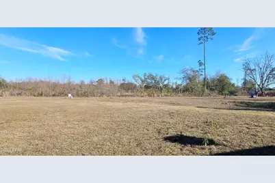 23787 County Road 69A, Altha, FL 32421 - Photo 3