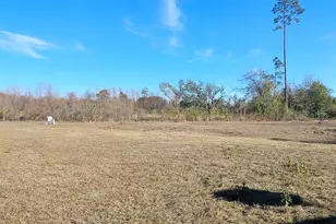 23787 Co Rd 69A, Altha, FL 32421 - Photo 3