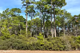 None N Kelley St, Panama City Beach, FL 32413 - Photo 1