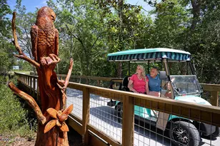 8948 Coral Reef Wy, Panama City Beach, FL 32413 - Photo 49