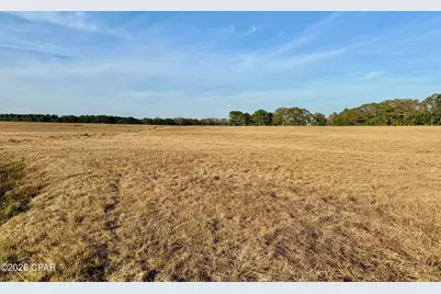 3321 Highway 160, Bonifay, FL 32425 - Photo 11