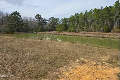 571 Bryant Landing Road, Wewahitchka, FL 32465 - Photo 23