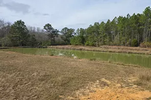 571 Bryant Landing Rd, Wewahitchka, FL 32465 - Photo 23