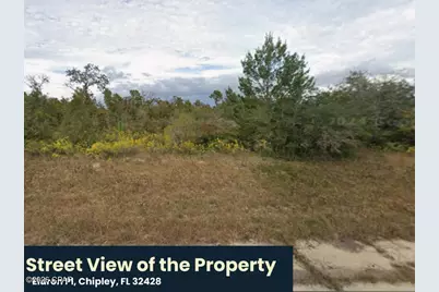 [Address not provided], Chipley, FL 32428 - Photo 3