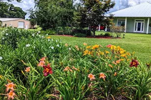 5223 Palamino Ln, Greenwood, FL 32443 - Photo 25