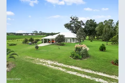 5223 Palamino Lane, Greenwood, FL 32443 - Photo 1