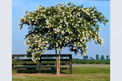 5223 Palamino Lane, Greenwood, FL 32443 - Photo 13