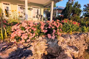 5223 Palamino Ln, Greenwood, FL 32443 - Photo 49