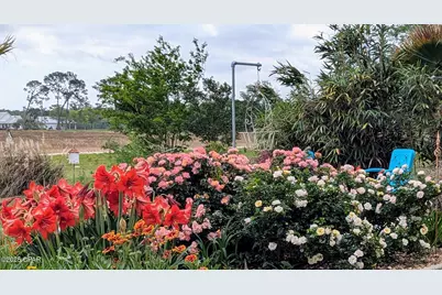 5223 Palamino Lane, Greenwood, FL 32443 - Photo 45